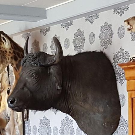 Chalet Sur Lesse Otel Maissin Dış mekan fotoğraf