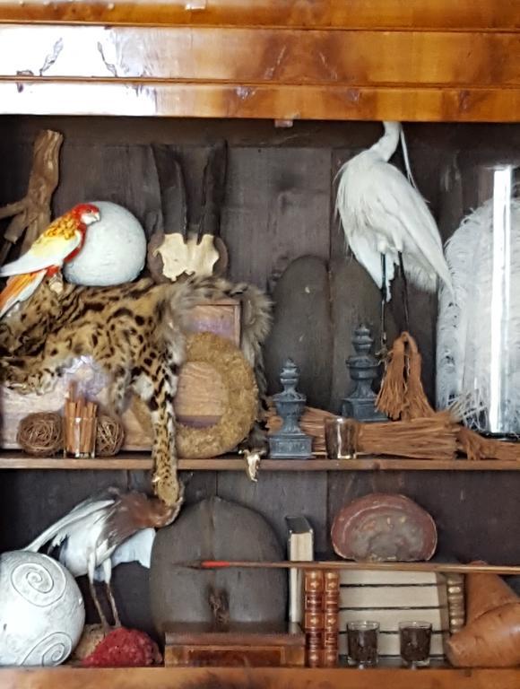 Chalet Sur Lesse Otel Maissin Dış mekan fotoğraf