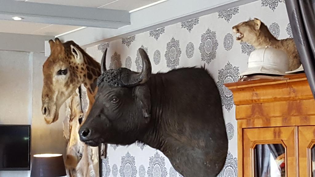 Chalet Sur Lesse Otel Maissin Dış mekan fotoğraf